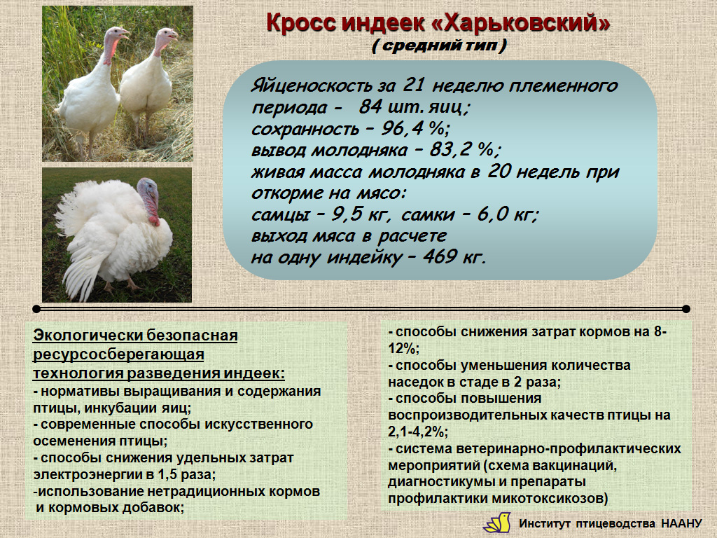 Poultry Research Institute of the Ukrainian Academy of Agrarian Sciences